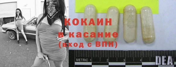 эйфоретик Баксан