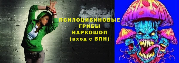 эйфоретик Баксан