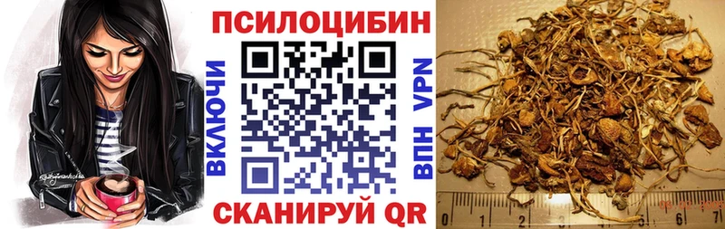 Купить закладки  Красный Кут  Галлюциногенные грибы мухоморы 